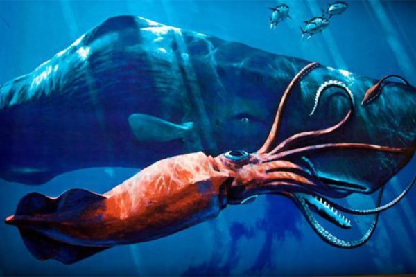 Кракен официальная ссылка kraken torion