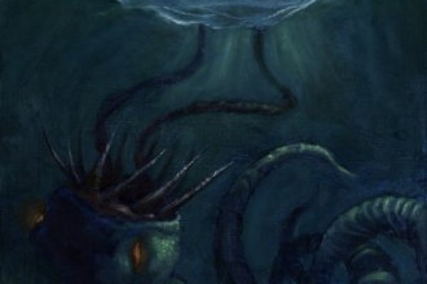 Kraken даркнет переходник